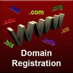 Domain Registration (annual fee)