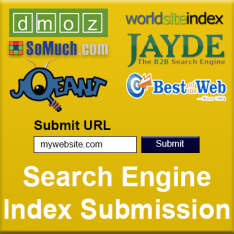 Search Engine Index Submission