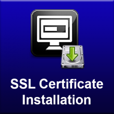 SSL Certificate Installation (annual fee)