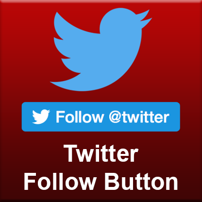 Twitter Follow Button