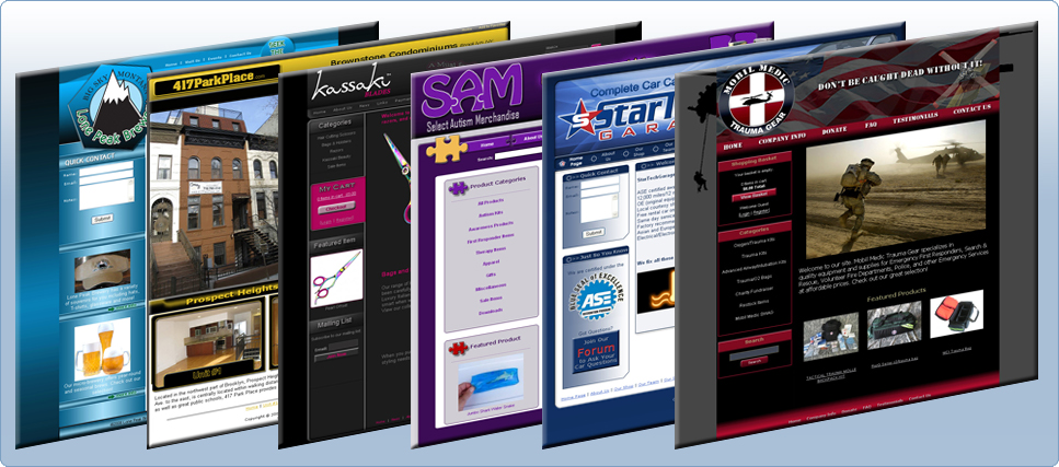 Click here to view our Website Design Packages